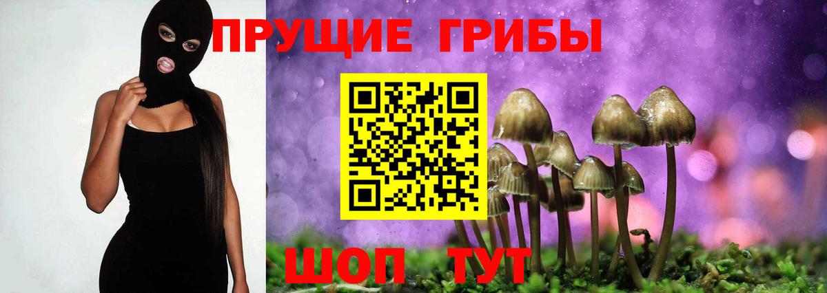 Псилоцибиновые грибы мицелий Вышний Волочёк
